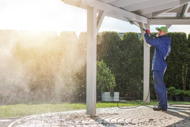 Best Restaurant Pressure Washing  in Paw Paw, MI